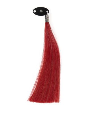 EXTENSION CHERATINA COLORE 28